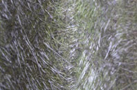 Llanilar fibreglass roof work